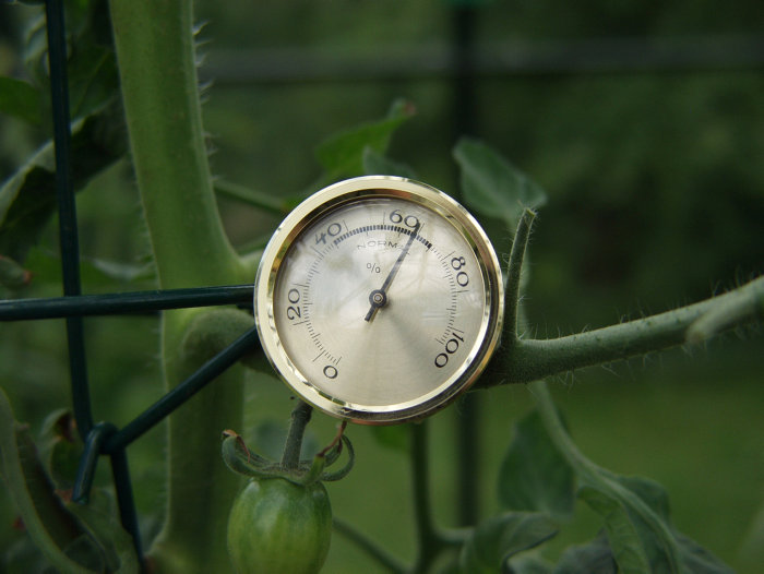 Hygrometer Växthus Ø45 mm Vitavia